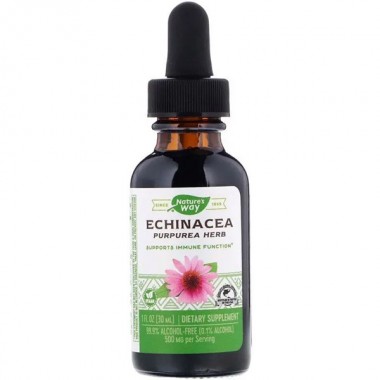Эхинацея Nature's Way Echinacea Alcohol Free 99.9% 1 fl oz 30 ml