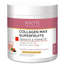 Коллаген Biocyte Collagen Max Superfruits 260 g /20 servings/ Fruit Flavor