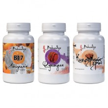 Смесь экстрактов Bekandze Амигдалин + Фукоидан + Камфорный гриб 60+60+60 Caps