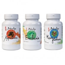 Комплекс для суставов Bekandze Харитаки + Босвелия + Дьявольский коготь 60+60+60 Caps