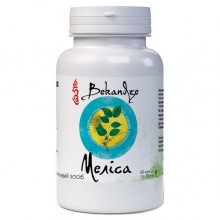 Комплекс для профилактики нервной системы Bekandze Мелисса 60 Caps