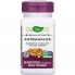 Корень астрагала Nature's Way Astragalus 60 Veg Caps NWY-15383 Корень астрагала Nature's Way Astragalus 60 Veg Caps NWY-15383