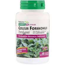 Экстракт для похудения Nature's Plus Herbal Actives, Coleus Forskohlii 125 mg 60 Veg Caps NAP-07170 Экстракт для похудения Nature's Plus Herbal Actives, Coleus Forskohlii 125 mg 60 Veg Caps NAP-07170