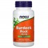 Корень лопуха NOW Foods Burdock Root 430 mg 100 Veg Caps