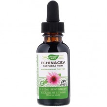 Эхинацея Nature's Way Echinacea Alcohol Free 99.9% 1 fl oz 30 ml