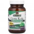 Готу кола Nature's Answer Gotu Kola, Healthy Immune Support 330 mg 60 Veg Caps