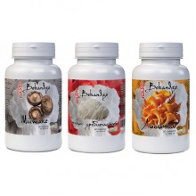 Грибной комплекс Bekandze Шиитаке + Ежовик гребенчатый + Лисичка 60+60+60 Tabs Грибной комплекс Bekandze Шиитаке + Ежовик гребенчатый + Лисичка 60+60+60 Tabs