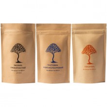 Грибной комплекс Дедушка Мухомор Набор “Здоровый ребенок” ( 3 вида грибов) 60 + 60 + 60 капсул