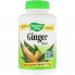 Корень имбиря Nature's Way Ginger Root 550 mg 180 Caps