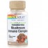 Грибной комплекс Solaray Maitake Mushroom 600 mg 100 Veg Caps SOR-01378