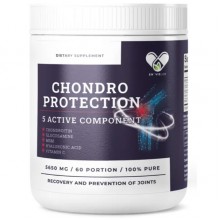 Препарат для суглобів та зв'зок En`vie Lab Chondro Protection 5 Active 339 g /60 servings/ Berries