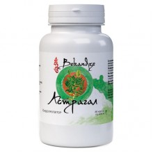 Корень астрагала Bekandze Астрагал 60 Caps Корень астрагала Bekandze Астрагал 60 Caps
