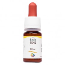 Комплекс для профилактики нервной системы Guna Fiori di Bach flowers Olive 10 ml Комплекс для профилактики нервной системы Guna Fiori di Bach flowers Olive 10 ml