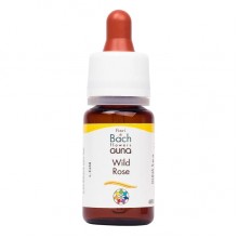 Комплекс для профилактики нервной системы Guna Fiori di Bach flowers Wild rose 10 ml