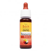 Комплекс для профилактики нервной системы Guna Fiori di Bach flowers Resource EnerJoy 20 ml