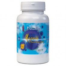 Микроэлемент Магний Bekandze Магний бисглицинат 60 Caps