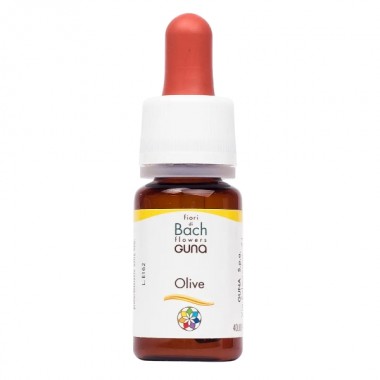 Комплекс для профилактики нервной системы Guna Fiori di Bach flowers Olive 10 ml
