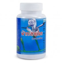 Противопростудное средство Kongka Herb Fah Talai Jone 100 Caps Противопростудное средство Kongka Herb Fah Talai Jone 100 Caps