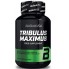 Трибулус BioTechUSA Tribulus Maximus 90 Tabs