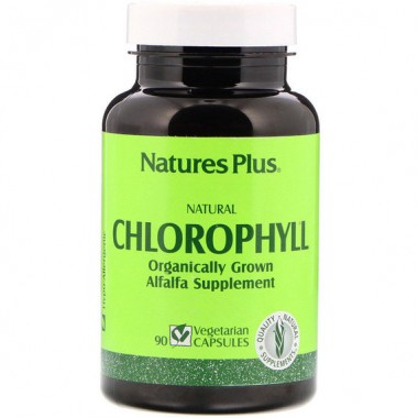 Комплекс для пищеварения Nature's Plus Natural Chlorophyll 90 Veg Caps NTP1080