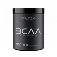 Аминокомплекс для спорта Powerful Progress BCAA 2:1:1 + Glutamine 500 g /50 servings/ Orange