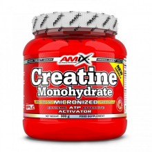 Креатин моногидрат Amix Nutrition Creatine Monohydrate 300 g /100 servings/ Unflavored