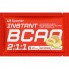 Аминокислота BCAA для спорта Sporter Instant ВСАА 2:1:1 10 g Melon