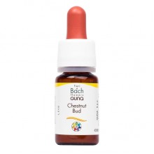 Комплекс для профилактики нервной системы Guna Fiori di Bach flowers Chestnut bud 10 ml