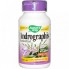 Натуральная добавка для иммунитета Nature's Way Andrographis Standardized 60 Veg Caps