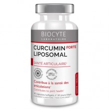 Куркума Biocyte Curcumin X 185  30 Caps Куркума Biocyte Curcumin X 185  30 Caps