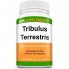 Тестостероновый комплекс Krk Supplements Tribulus Terrestris 500 mg 90 Caps