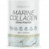 Хондропротектор (для спорта) BioTechUSA Marine Collagen 240 g /20 servings/ Green Tea Lemon