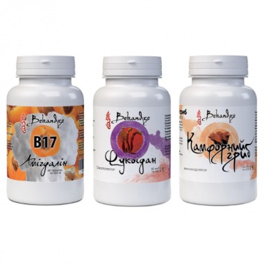 Смесь экстрактов Bekandze Амигдалин + Фукоидан + Камфорный гриб 60+60+60 Caps