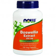 Экстракт босвеллии NOW Foods Boswellia Extract 250 mg 120 Veg Caps Экстракт босвеллии NOW Foods Boswellia Extract 250 mg 120 Veg Caps