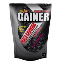 Гейнер Power Pro Gainer 1000 g /25 servings/ Лесная ягода Гейнер Power Pro Gainer 1000 g /25 servings/ Лесная ягода