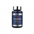 Хондропротектор (для спорта) Scitec Nutrition Shark Cartilage 75 Caps