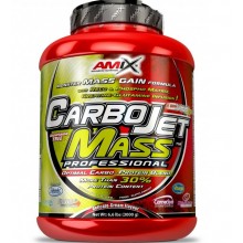 Гейнер Amix Nutrition CarboJet Gain Mass Professional 3000 g /30 servings/ Vanilla