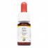Комплекс для профилактики нервной системы Guna Fiori di Bach flowers Chestnut bud 10 ml