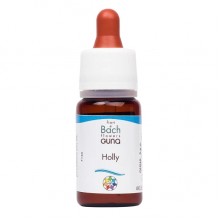 Комплекс для профилактики нервной системы Guna Fiori di Bach flowers Holly 10 ml