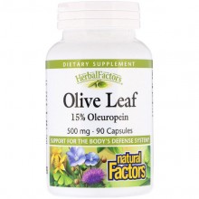 Экстракт оливы Natural Factors Olive Leaf 500 mg 90 Caps NFS04570