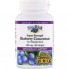 Комплекс для профилактики зрения Natural Factors BlueRich, Super Strength, Blueberry Concentrate 500 mg 90 Softgels NFS04516