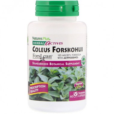 Экстракт для похудения Nature's Plus Herbal Actives, Coleus Forskohlii 125 mg 60 Veg Caps NAP-07170