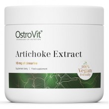 Артишок OstroVit Vege Artichoke Extract 100 g /500 servings/ Unflavored