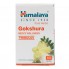 Смесь экстрактов Himalaya Gokshura 60 Tabs