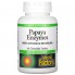 Антиоксидант Natural Factors Papaya Enzymes with Amylase & Bromelain 60 Chewable Tabs