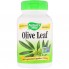 Экстракт оливы Nature's Way Olive Leaf 100 Caps Экстракт оливы Nature's Way Olive Leaf 100 Caps