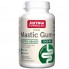 Смола мастикового дерева Jarrow Formulas Mastic Gum 500 mg 120 Caps