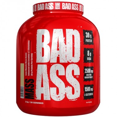 Гейнер Bad Ass Mass 3000 g /30 servings/ Vanilla