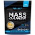 Гейнер Willmax Mass Gainer 2000 g /20 servings/ Mango Sorbet