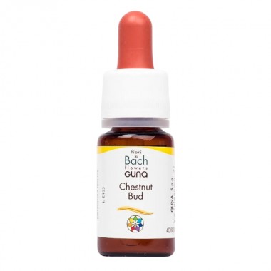 Комплекс для профилактики нервной системы Guna Fiori di Bach flowers Chestnut bud 10 ml